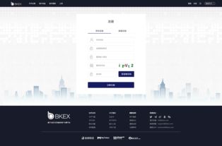 BKEX交易所網(wǎng)站 計(jì)算機(jī)網(wǎng)絡(luò)工程視角下的部分頁面展示